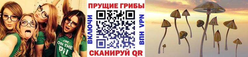 Псилоцибиновые грибы Psilocybine cubensis  Гороховец 